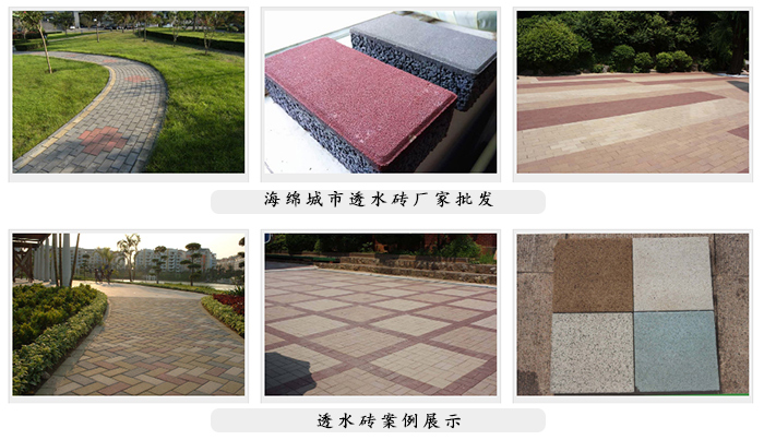 動起來，共建“海綿城市”！
